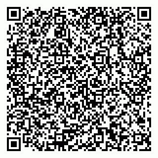 vCard 79378200318