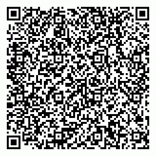 vCard 79378200319