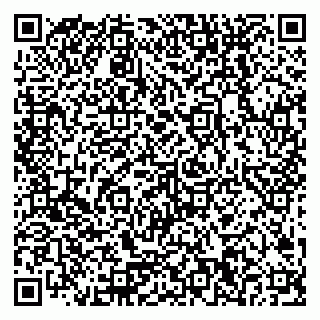 vCard 79378200331