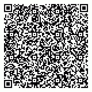 vCard 79378200333