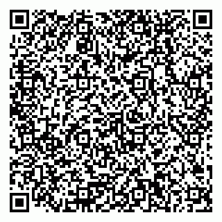 vCard 79378200335