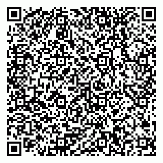 vCard 79378200351
