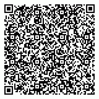 vCard 79378200357