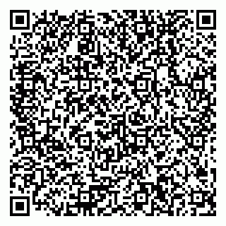 vCard 79378200371