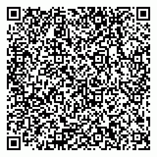 vCard 79378200394