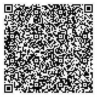 vCard 79378200396