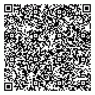 vCard 79378200399