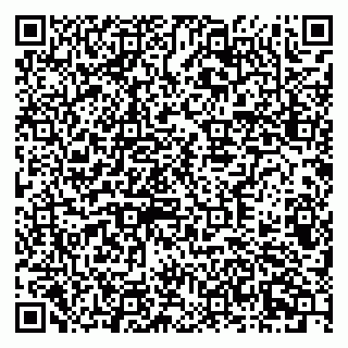 vCard 79378700005