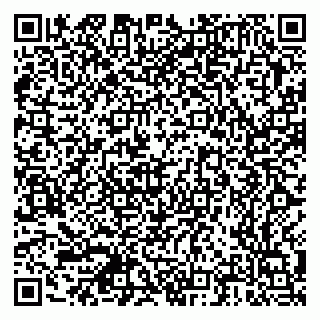 vCard 79378700013