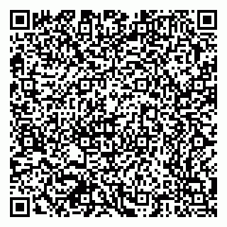 vCard 79378700027