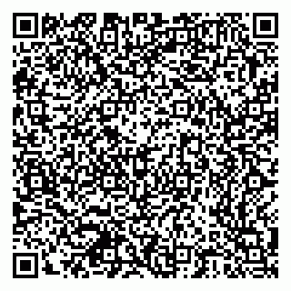 vCard 79378700028