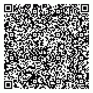 vCard 79378700031