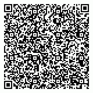 vCard 79378700033