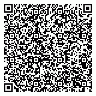 vCard 79378700038