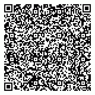 vCard 79378700049