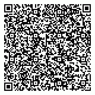 vCard 79378700059