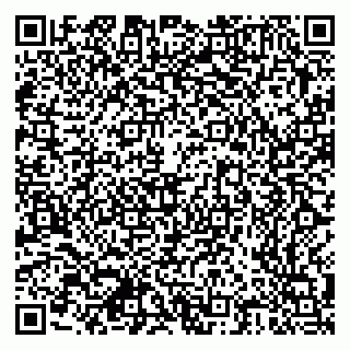 vCard 79378700065
