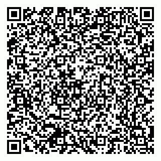 vCard 79378700081