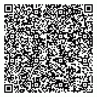 vCard 79378700087
