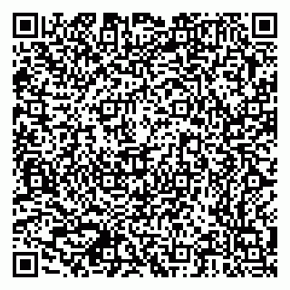 vCard 79378700093