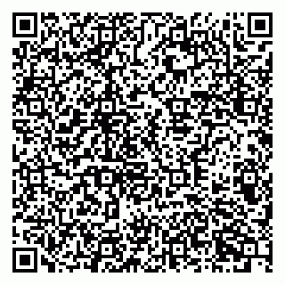 vCard 79378700099