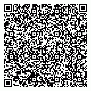 vCard 79378700113