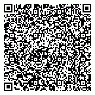 vCard 79378700133