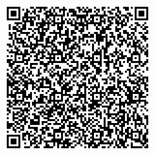 vCard 79378700138