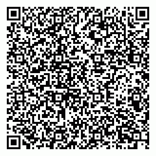 vCard 79378700141