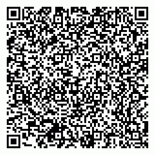 vCard 79378700151