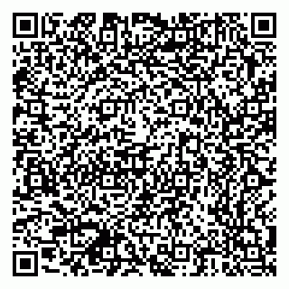 vCard 79378700152