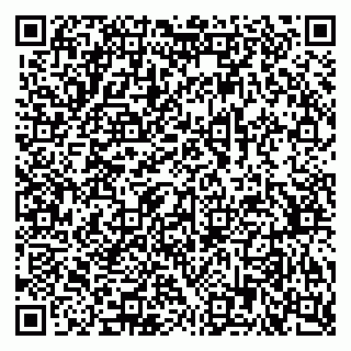 vCard 79378700153