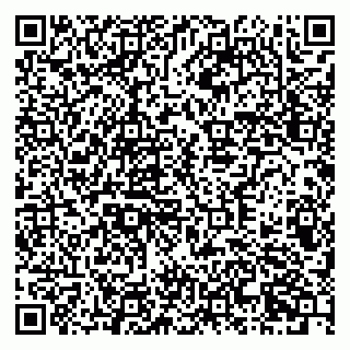 vCard 79378700159