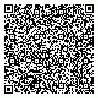 vCard 79378700173