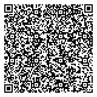 vCard 79378700181