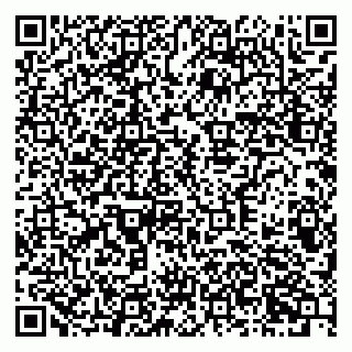 vCard 79378700199