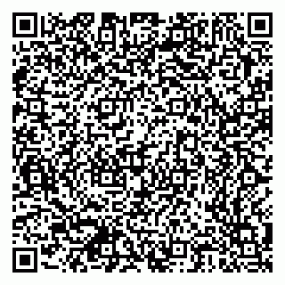 vCard 79378700200