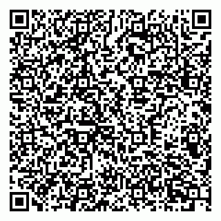 vCard 79378700201