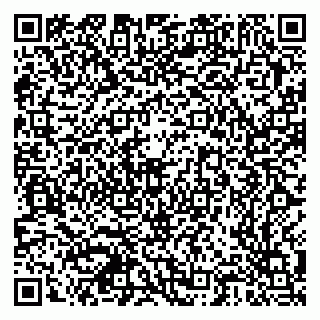 vCard 79378700204
