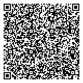 vCard 79378700209