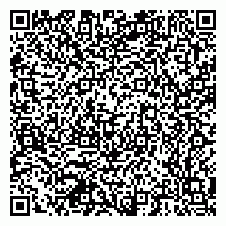 vCard 79378700213