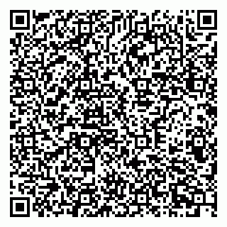 vCard 79378700215
