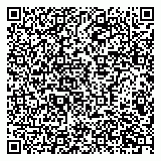 vCard 79378700216