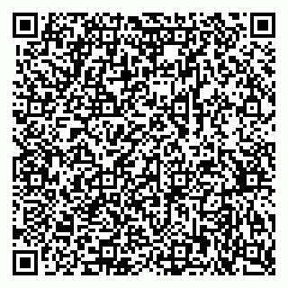vCard 79378700219