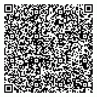 vCard 79378700221