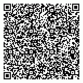 vCard 79378700225