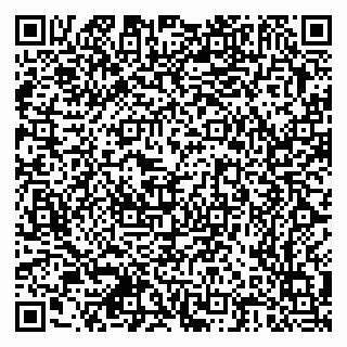 vCard 79378700229