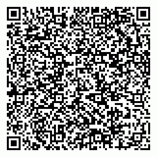 vCard 79378700239