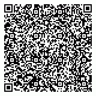 vCard 79378700247
