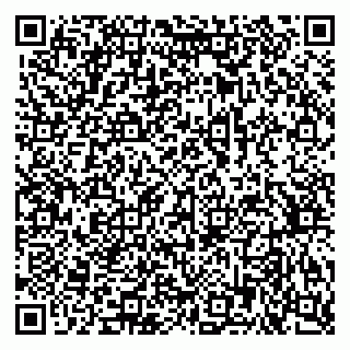 vCard 79378700251
